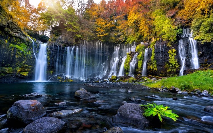 деревья, камни, листья, водопад, осень, trees, stones, leaves, waterfall, autumn