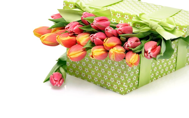 цветы, букет, тюльпаны, белый фон, подарок, бантик, . коробка, flowers, bouquet, tulips, white background, gift, bow