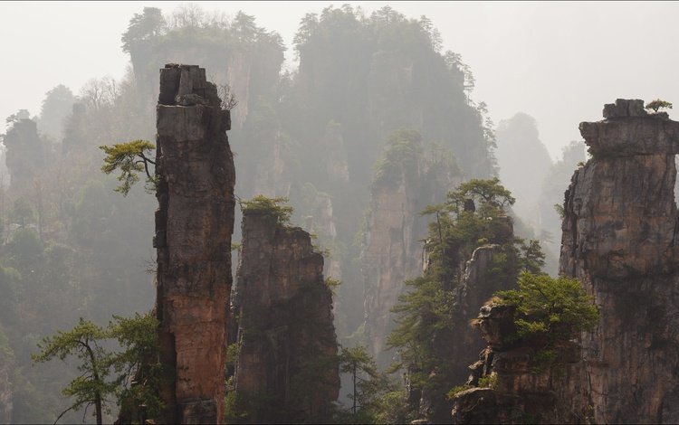 горы, скалы, туман, китай, zhangjiajie national park, mountains, rocks, fog, china