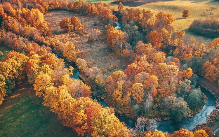 деревья, река, природа, пейзаж, вид сверху, осень, trees, river, nature, landscape, the view from the top, autumn