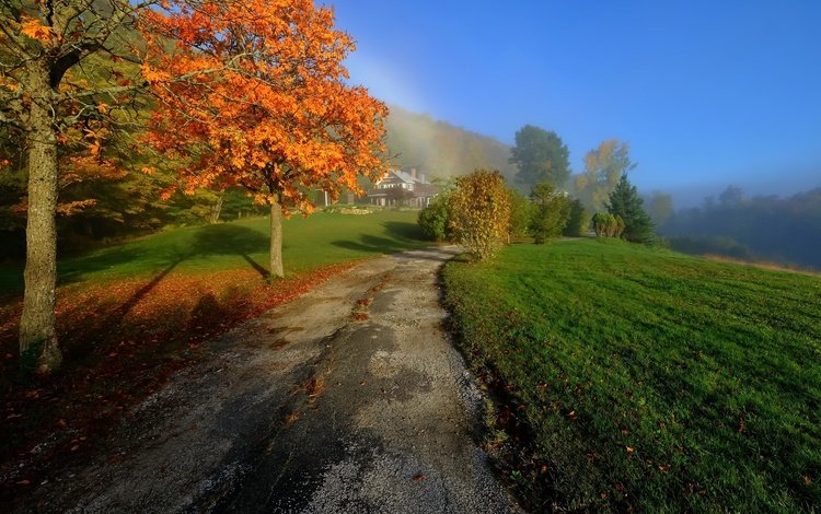 дорога, деревья, природа, осень, дороги, road, trees, nature, autumn