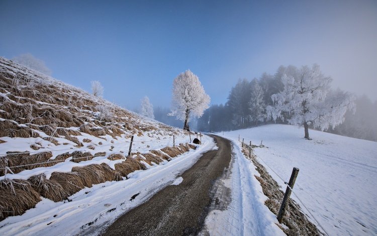небо, дорога, деревья, снег, зима, ограждение, the sky, road, trees, snow, winter, the fence