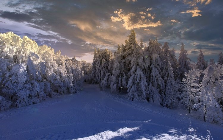 небо, облака, снег, природа, лес, зима, gérard marconnet, the sky, clouds, snow, nature, forest, winter