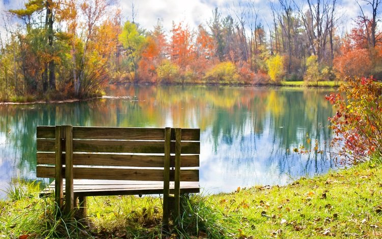 трава, листья, отражение, парк, осень, скамейка, пруд, пруд парк, grass, leaves, reflection, park, autumn, bench, pond