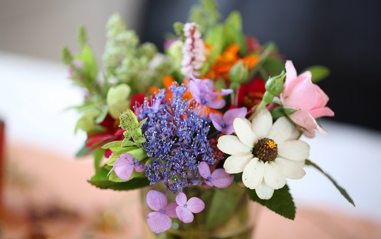 цветы, букет, боке, flowers, bouquet, bokeh