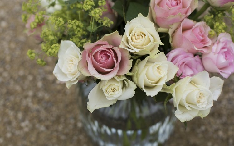 цветы, розы, букет, ваза, боке, flowers, roses, bouquet, vase, bokeh