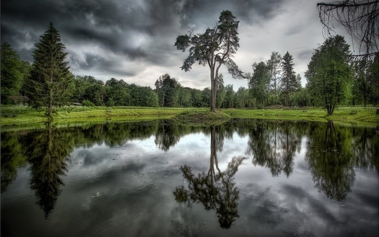 деревья, озеро, тучи, отражение, trees, lake, clouds, reflection