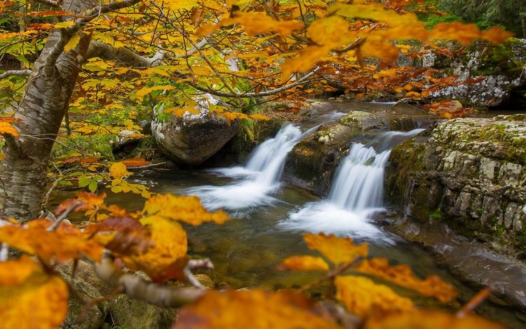 деревья, река, ветки, водопад, осень, trees, river, branches, waterfall, autumn