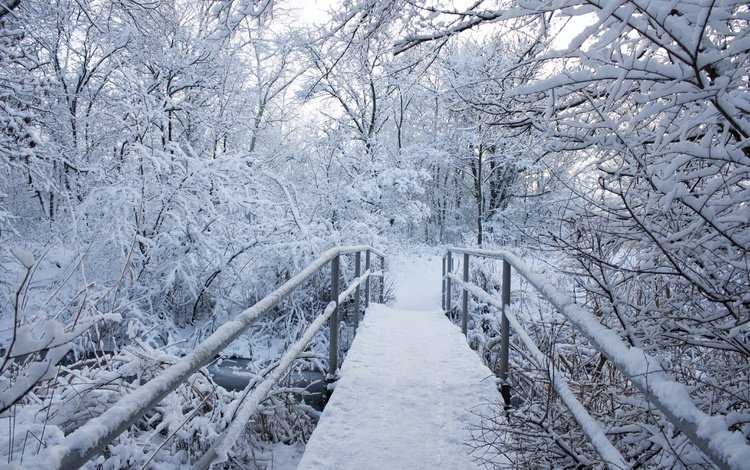 деревья, снег, природа, зима, пейзаж, мост, trees, snow, nature, winter, landscape, bridge