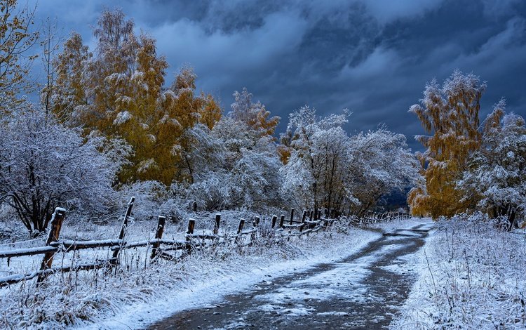 дорога, деревья, снег, осень, забор, казахстан, road, trees, snow, autumn, the fence, kazakhstan