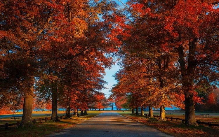дорога, парк, листва, осень, аллея, road, park, foliage, autumn, alley