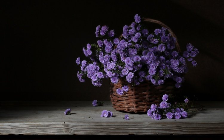 доска, темный фон, хризантемы, корзинка, board, the dark background, chrysanthemum, basket