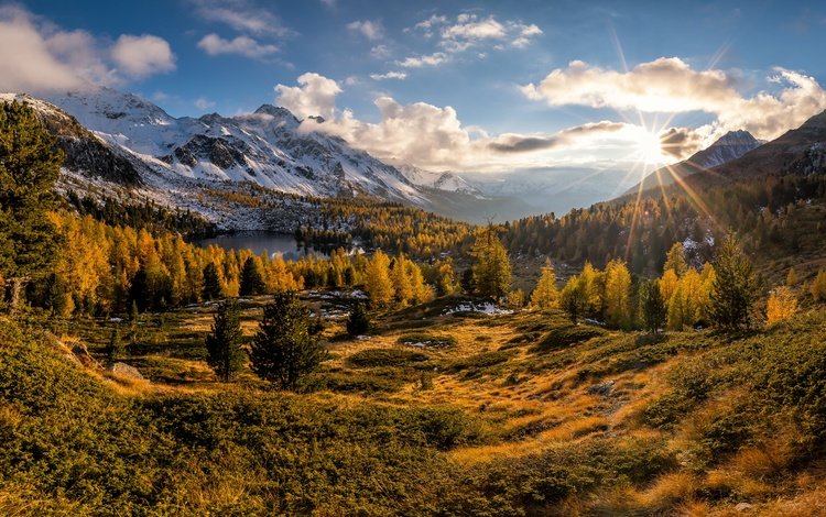 горы, лес, осень, швейцария, долина, альпы, валь-ди-кампо, mountains, forest, autumn, switzerland, valley, alps, val di campo