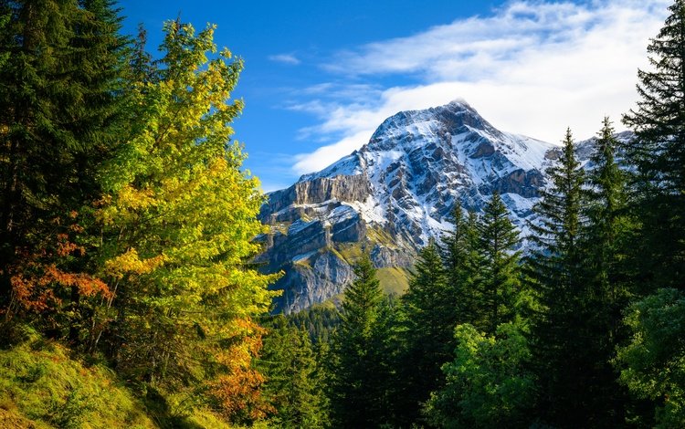 горы, природа, лес, осень, швейцария, альпы, mountains, nature, forest, autumn, switzerland, alps