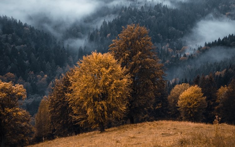 горы, туман, осень, mountains, fog, autumn