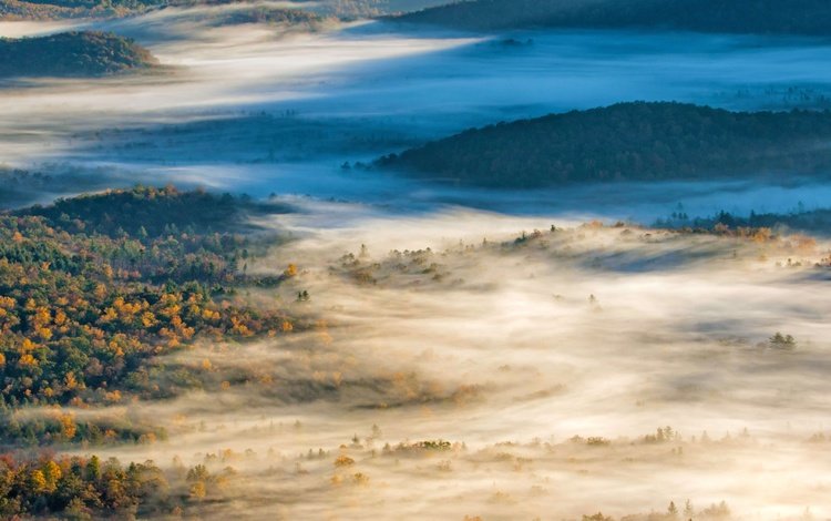 холмы, туман, осень, сша, северная каролина, hills, fog, autumn, usa, north carolina