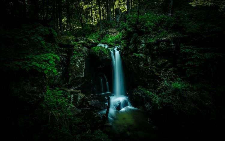 камни, лес, водопад, темный фон, stones, forest, waterfall, the dark background