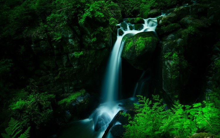 лес, водопад, темный фон, forest, waterfall, the dark background