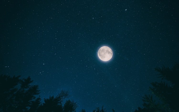 небо, ночь, деревья, природа, звезды, луна, the sky, night, trees, nature, stars, the moon