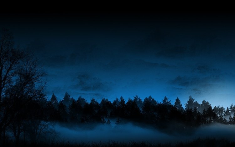 небо, облака, ночь, деревья, природа, лес, туман, темно, the sky, clouds, night, trees, nature, forest, fog, dark