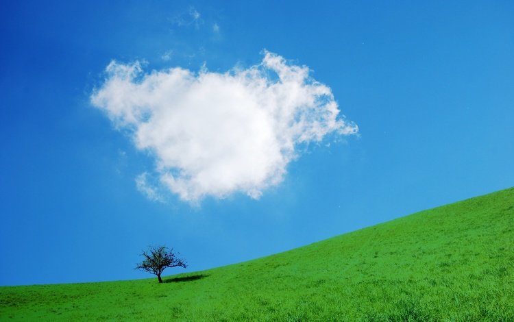 небо, трава, дерево, склон, the sky, grass, tree, slope
