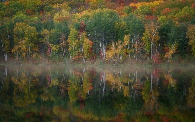 озеро, лес, осень, lake, forest, autumn