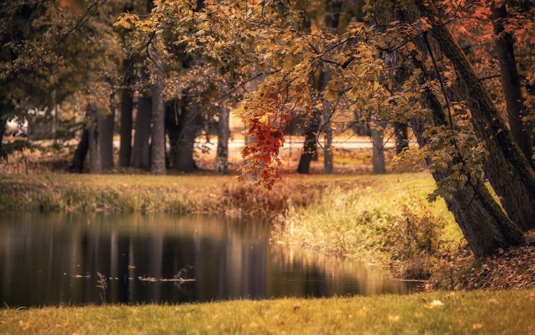 озеро, парк, осень, lake, park, autumn