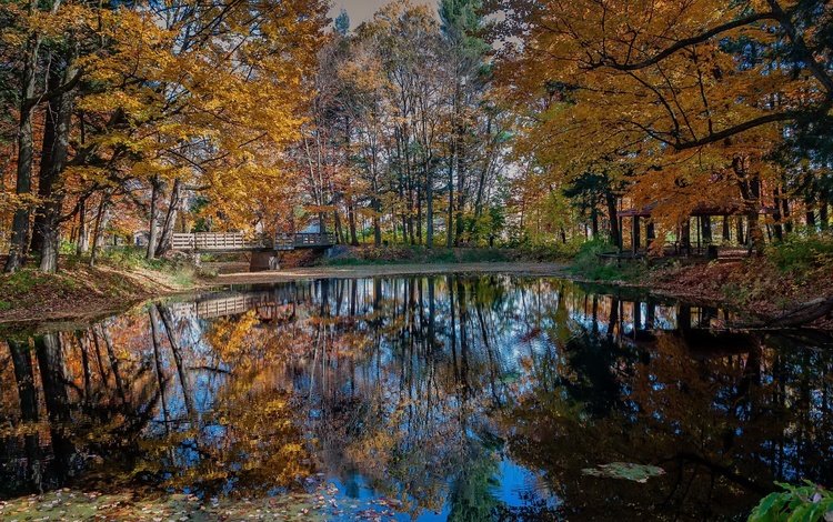 деревья, природа, отражение, парк, мост, осень, trees, nature, reflection, park, bridge, autumn