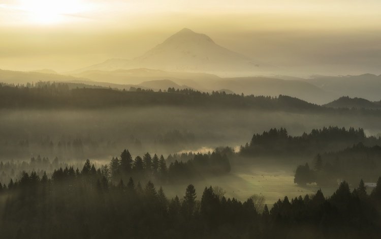 природа, утро, туман, nature, morning, fog