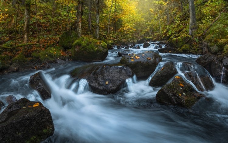 река, камни, лес, осень, норвегия, каскад, river, stones, forest, autumn, norway, cascade