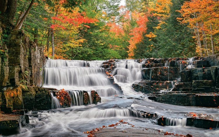 река, лес, осень, водопады, каскад, мичиган, river, forest, autumn, waterfalls, cascade, michigan