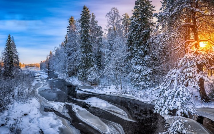 река, лес, зима, утро, river, forest, winter, morning