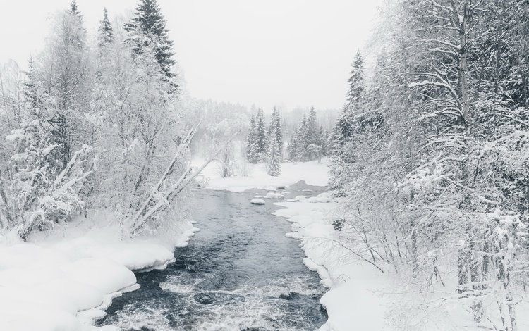 река, лес, зима, river, forest, winter