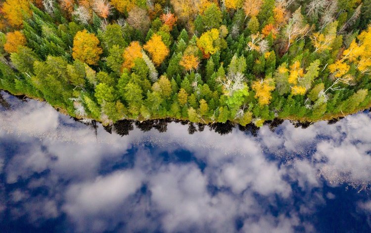 река, лес, отражение, осень, river, forest, reflection, autumn
