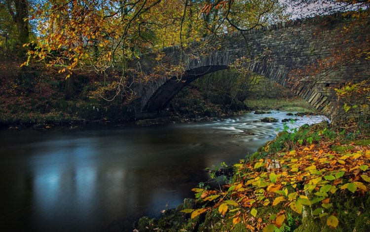 река, листья, ветки, мост, осень, англия, lake district, камбрия, river, leaves, branches, bridge, autumn, england, cumbria