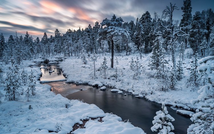 река, природа, зима, river, nature, winter