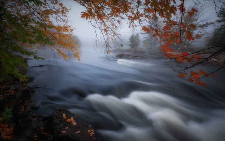 река, туман, осень, канада, онтарио, river, fog, autumn, canada, ontario