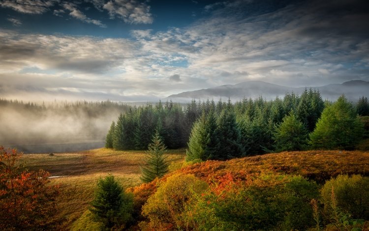 река, туман, осень, шотландия, river, fog, autumn, scotland