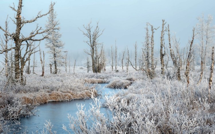 река, зима, иней, river, winter, frost