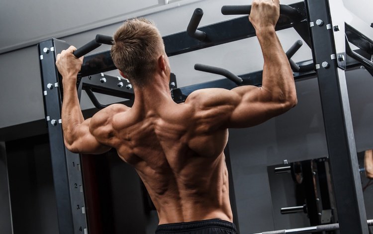спина, мышцы, турник, тренажерный зал, back, muscle, the horizontal bar, gym