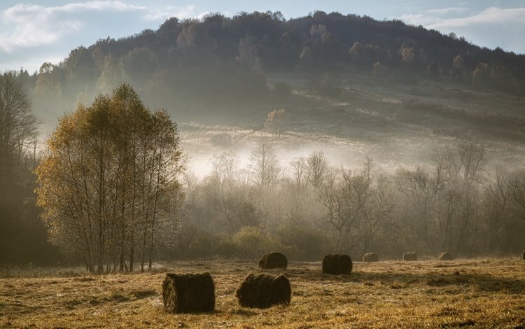 туман, поле, сено, осень, fog, field, hay, autumn