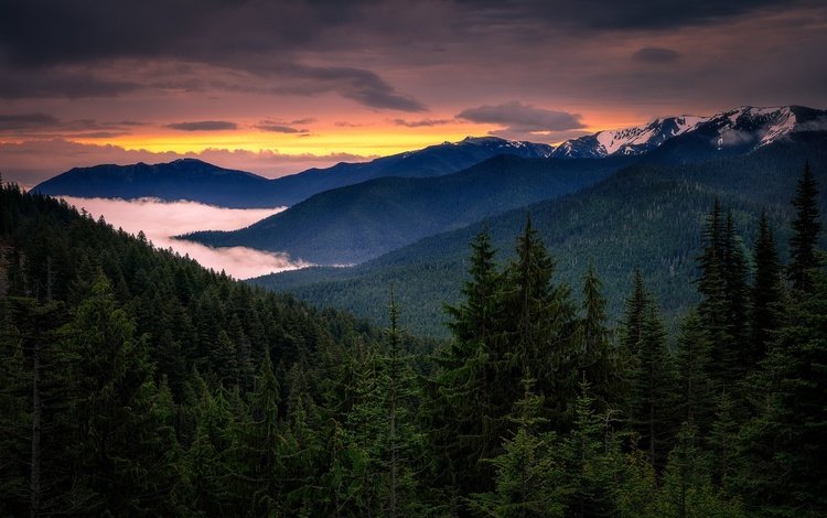 вечер, горы, лес, закат, туман, склоны, ели, the evening, mountains, forest, sunset, fog, the slopes, ate