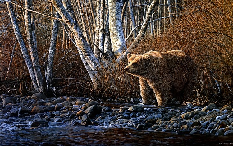 арт, берег, осень, медведь, речка, art, shore, autumn, bear, river