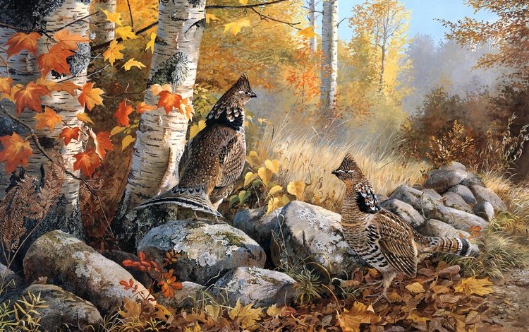 арт, природа, лес, осень, птицы, булыжники, art, nature, forest, autumn, birds, stones