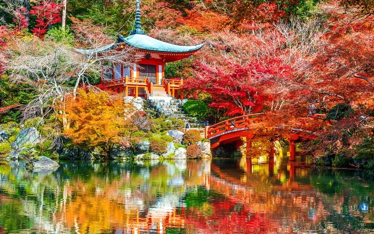 деревья, листья, парк, киото, японии, trees, leaves, park, kyoto, japan