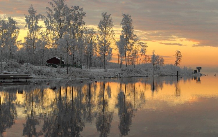 деревья, река, снег, зима, закат солнца, швеция, trees, river, snow, winter, sunset, sweden