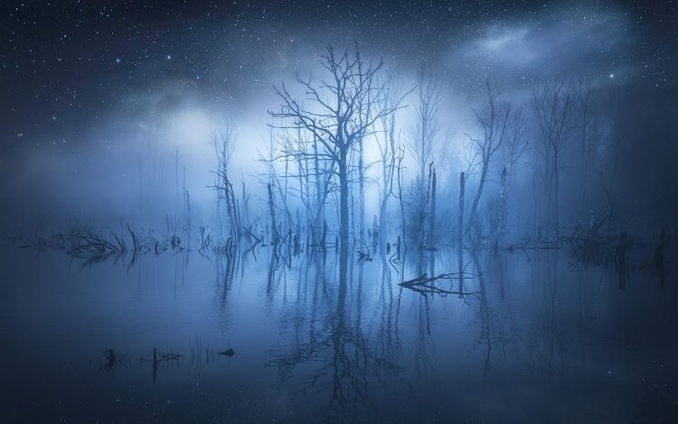 деревья, вода, отражение, звезды, туман, свечение, trees, water, reflection, stars, fog, glow