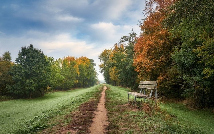 дорога, осень, скамья, road, autumn, bench