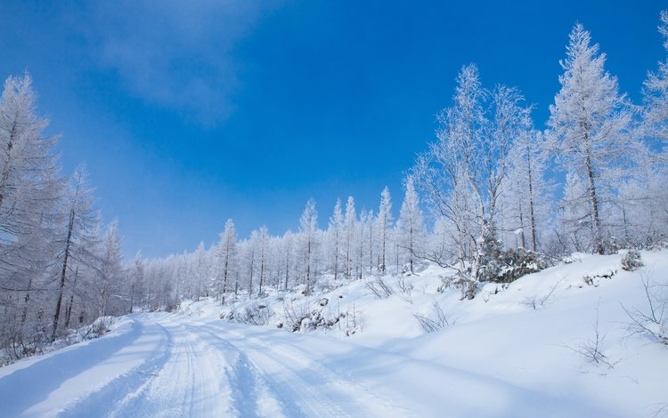 дорога, колея, снег, голубое небо, природа, лес, зима, иней, ели, сугробы, road, track, snow, blue sky, nature, forest, winter, frost, ate, the snow