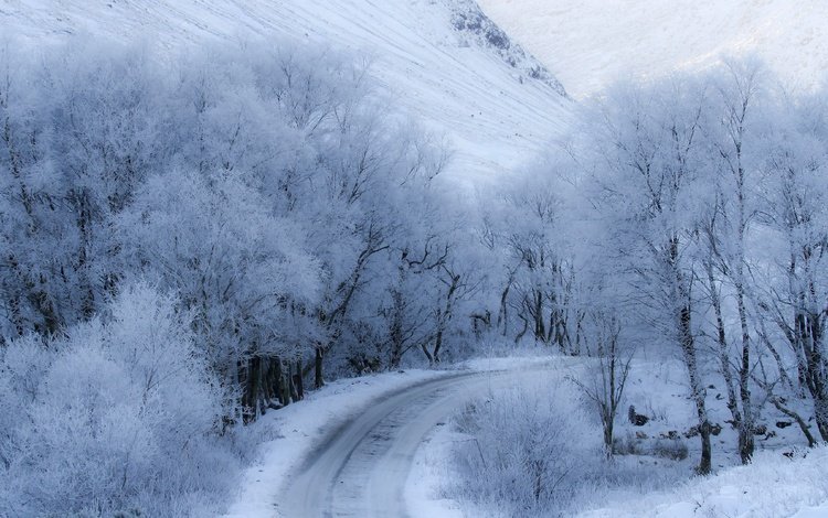 дорога, снег, зима, road, snow, winter